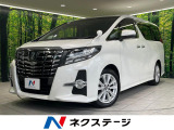 サンルーフ BIGX11型ナビ 後席モニター 衝突軽減装置 バックカメラ
