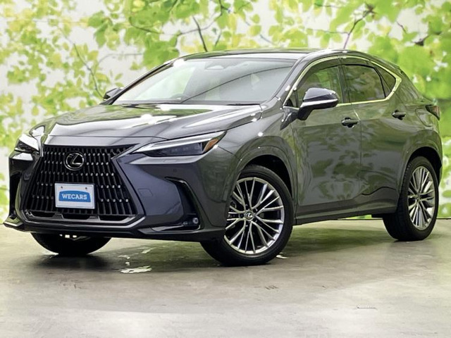 NX 350h バージョンL 