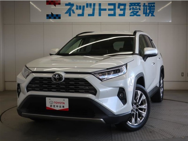 RAV4  2.0 G Zパッケージ 4WD