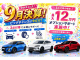 トゥインゴ EDC キャンバストップ