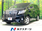 4WD 両側電動ドア BIG-X10型ナビ 後席モニター バックカメラ
