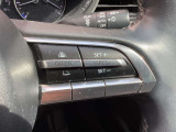 ステアリングスイッチで、先行車に自動追従するアダプティブクルーズコントロールが作動可能。設定した車速内での車間距離を自動で調整・維持。高速道路の渋滞時もアクセル・ブレーキ操作から解放されます。