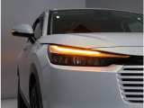 ウインカーが流れるように点灯!LEDシーケンシャルターンシグナルランプです!かっこいいですよ!