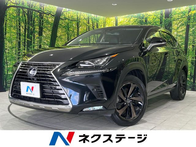 NX 300h バージョンL