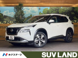 純正12.3型DA 全周囲カメラ プロパイロット