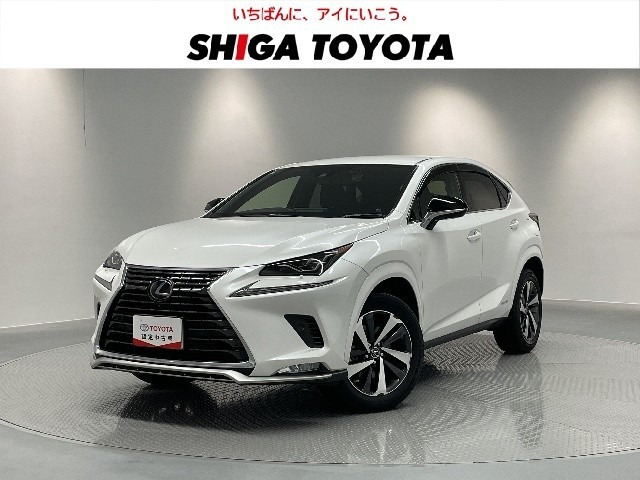 NX 300h スパイス&シック
