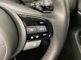ステアリングホイール・後ろの減速セレクターは、左右に取り付けられた2つのパドルスイッチで減速の強さを調整。左側の「-」を操作すると減速を強く、右側の「+」を操作すると減速を弱くすることができます。