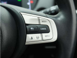 ◆アダプティブクルーズコントロール◆予め設定した車速内でクルマが自動的に加減速。前走車との適切な車間距離を維持しながら追従走行します。【LKAS】車線維持支援システムでステアリング操作を支援。