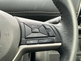 クルマが車速を一定にコントロールするオートクルーズコントロール付き。平坦な高速道路などでエコドライブに貢献します。