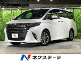 純正14型ナビ 全周囲カメラ フリップダウンモニター ガラスルーフ