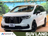 全周囲カメラ ブラインドスポットモニター レーダークルーズ 黒革 ETC