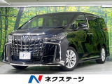 モデリスタエアロ 純正10型ナビ バックカメラ 後席モニター 両