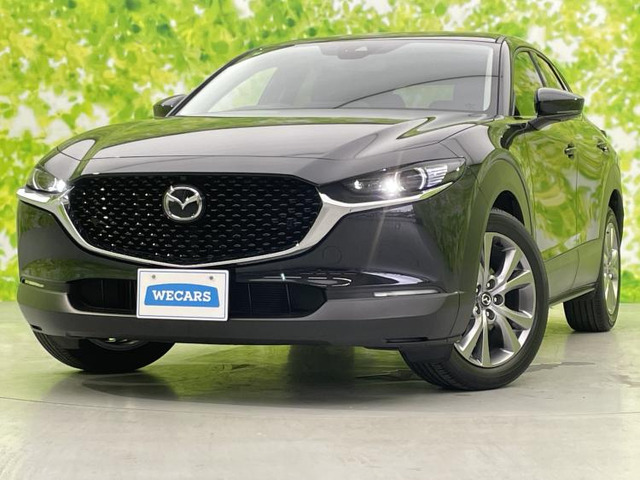 CX-30 2.0 20S Lパッケージ