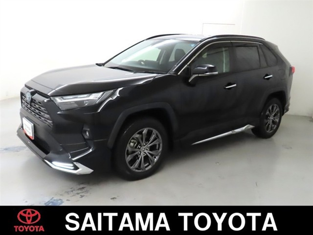 RAV4 2.5 ハイブリッド G E-Four 4WD （6AA-AXAH54）