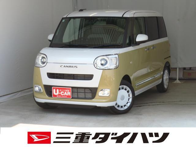 ムーヴキャンバス  ストライプス G
