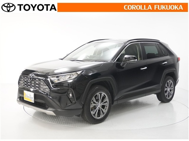 RAV4 2.0 G 4WD