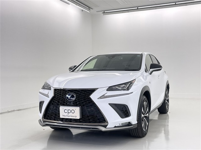 NX 300h Fスポーツ