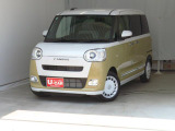 ムーヴキャンバス  ストライプス G