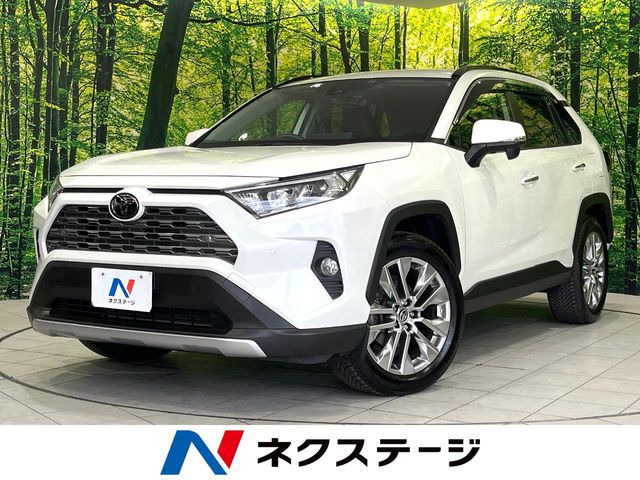 RAV4 2.0 G Zパッケージ 4WD
