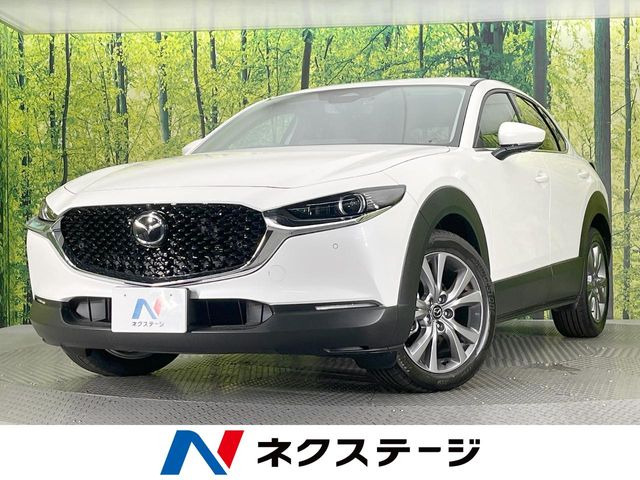CX-30 2.0 20S ツーリング