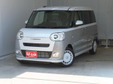 ムーヴキャンバス  ストライプス G