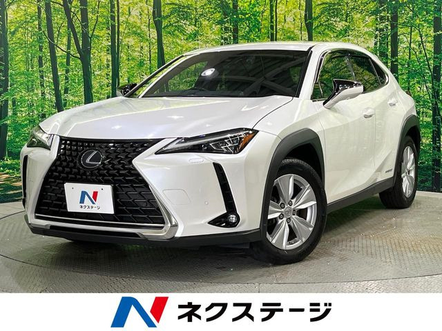 UX 250h バージョンC