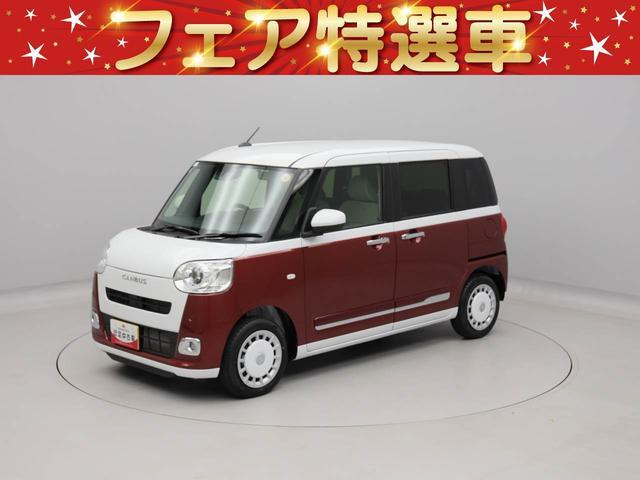 ムーヴキャンバス  ストライプス G