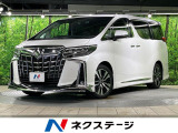 モデリスタ 両側電動ドア MOPナビ 後席モニター 全周囲カメラ JBL
