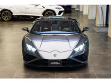 Grigio Lynx