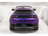 Rear Spoiler in Shiny Black