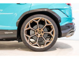 Rims Pelope 23 Diamond finished Bronze with titanium wheel bolts