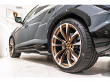 Rims Taigete 23 bronze diamond finished