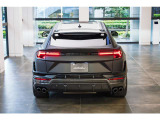 Rear spoiler in carbon fiber - Shiny