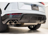 Akrapovic Exhaust