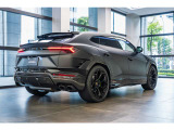 Rear spoiler in carbon fiber - Shiny