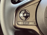 ステアリングにハンズフリー通話スイッチを装備。運転中でも手を離さずに通話操作ができるため、家族との連絡や急な電話にも安心して対応できます。