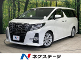 10型BIG-X フリップダウン 両側電動スライドドア LEDヘッド