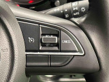 クルーズコントロールスイッチ