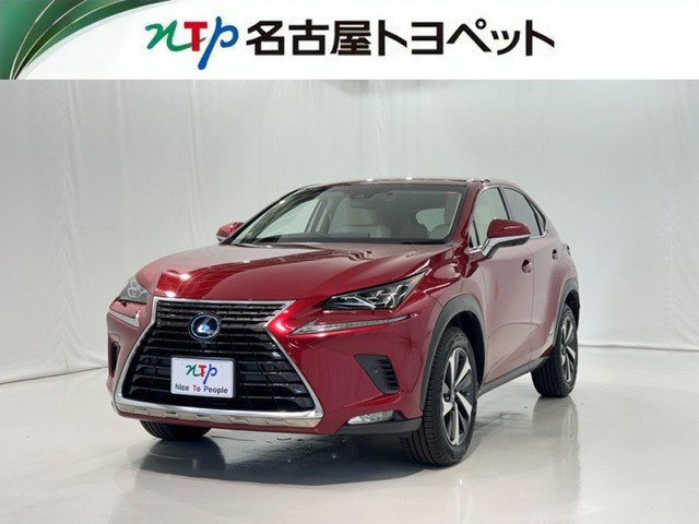 NX 300h Iパッケージ