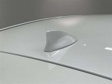 見た目もすっきり、機能的にも高感度なアンテナ仕様。