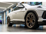 Rims Pelope 23  with titanium wheel bolts - Diamond finished Bronze