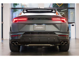 AKRAPOVIC Exhaust