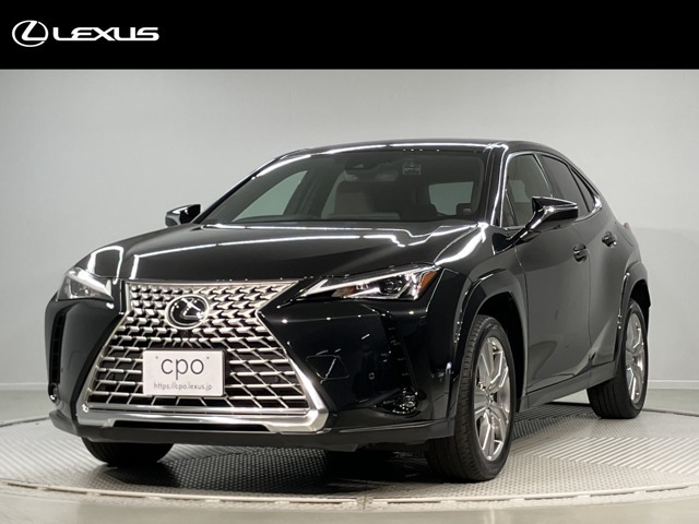 UX 250h グレイスフル エクスプローラー 