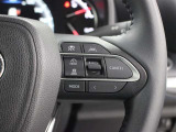 レーダークルーズコントロール作動時に車線維持に必要な運転操作の支援を行う「レーントレーシングアシスト(LTA)」を搭載しています。