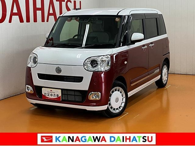 ムーヴキャンバス  ストライプス G