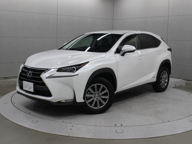 NX 300h Iパッケージ