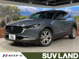 メーカー8.8型ディスプレイ 全周囲カメラ レーダークルーズ 衝突軽減
