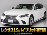 参考画像となります。
