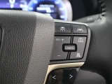 レーダークルーズコントロール作動時に車線維持に必要な運転操作の支援を行う「レーントレーシングアシスト(LTA)」を搭載しています。