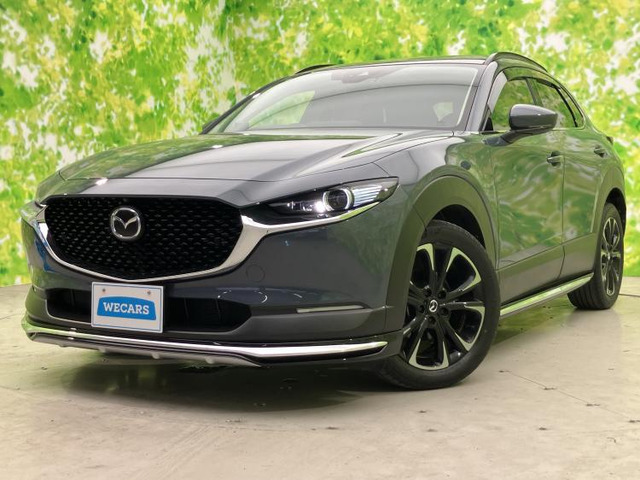 CX-30 2.0 20S Lパッケージ